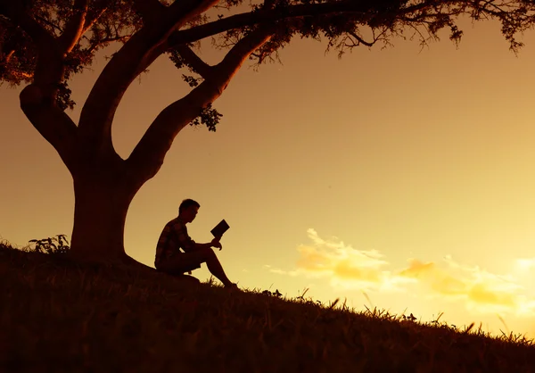 Hombre leyendo en el parque — Foto de Stock