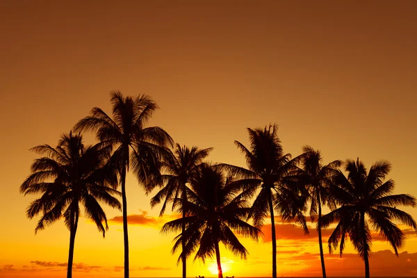 Vackra solnedgången på Hawaii — Stockfoto