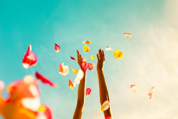 Hands throwing rose petals. — Stock Photo, Image