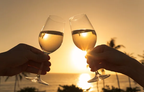 Cheers against the sunset — Stock Photo, Image