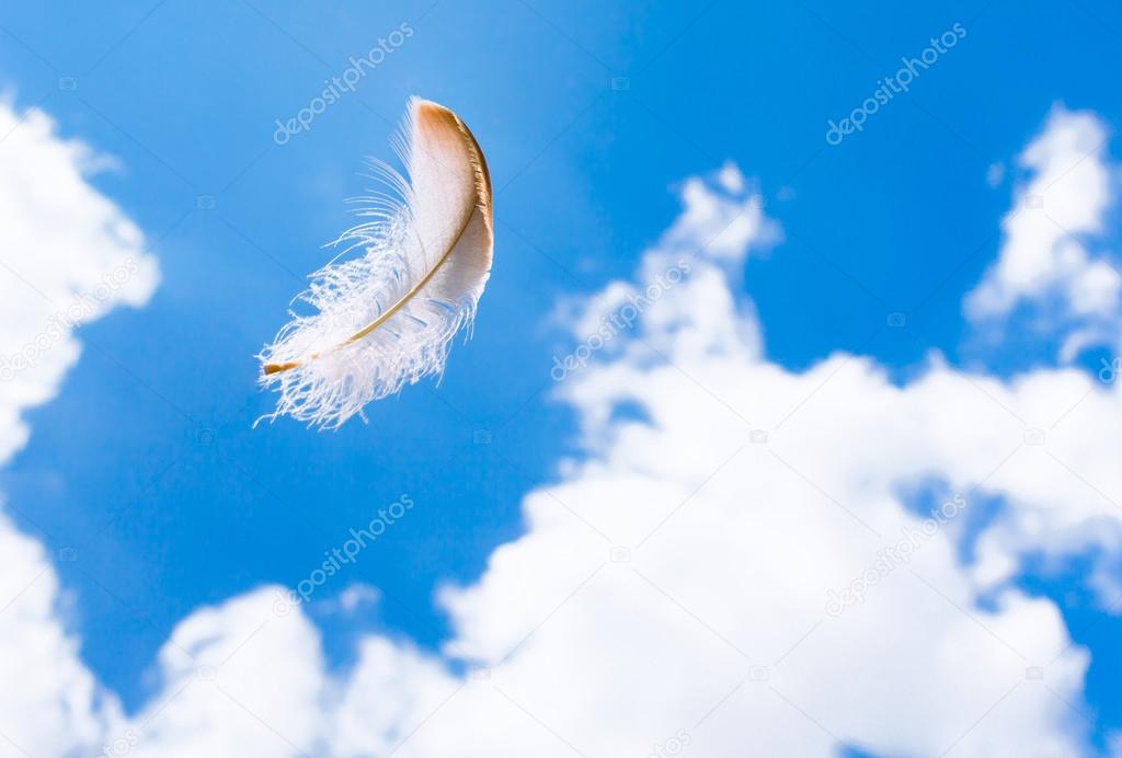 Feather floating in the sky.