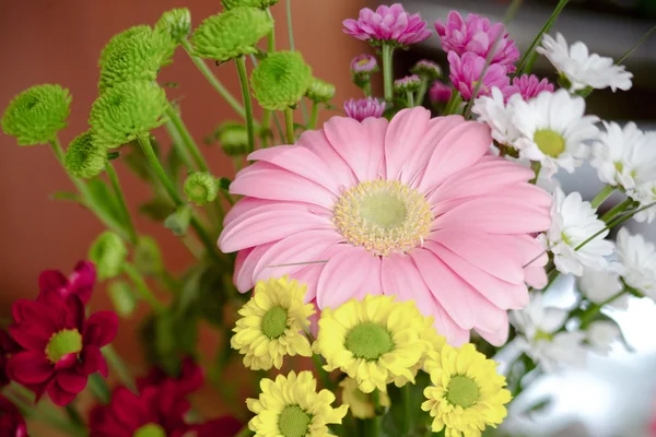 Krizantem, camomiles ve bir çiçek bir gerbera buketi