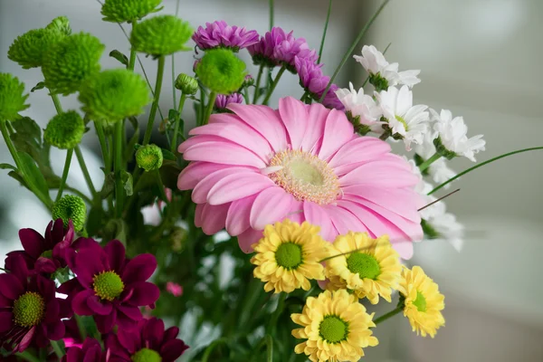 Krizantem, camomiles ve bir çiçek bir gerbera buketi