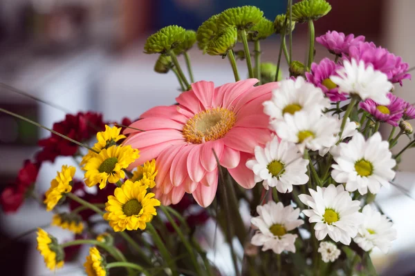 Boeket uit chrysanten, camomiles en een bloem een gerbera — Stockfoto