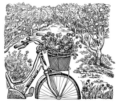 Elma bahçesi. Grafik illüstrasyon vektör el çekilmiş.