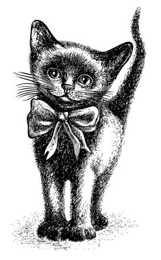 Yay ile siyah şirin yavru kedi. Yarım yamalak tarzı. El grafik illüstrasyon vektör içinde çekilmiş. Mürekkep çizim. Yay ile siyah şirin yavru kedi. Yarım yamalak tarzı. El grafik illüstrasyon vektör içinde çekilmiş. Çizim mürekkebi.