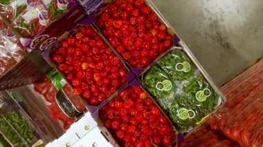 Meyve ve sebze deposu. Yüksek kalite 4k görüntü