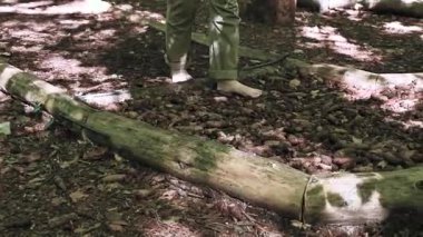 Ormanda Duyusal Yolda Yalınayak Yürüyüş, Farkındalık ve Rahatlama