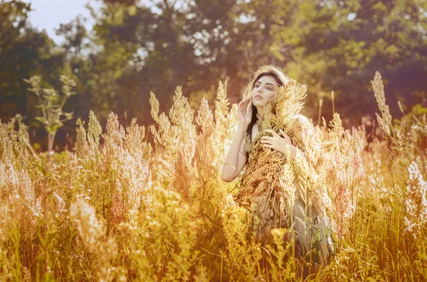 Belleza chica romántica, modelo al aire libre vestido con vestido corto casual en el campo de la luz del sol. Soplando el pelo largo. Otoño. Sol Brillante, Sol. Retroiluminado. Tonificado en colores cálidos — Foto de Stock