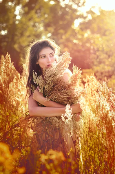 Piękna romantyczna dziewczyna, Model na zewnątrz ubrany w zwykłe Krótka sukienka na polu w światło słoneczne. Dmuchanie długie włosy. Jesienią. Blask słońca, słońca. Podświetlany. Tonie w ciepłych kolorach. — Zdjęcie stockowe