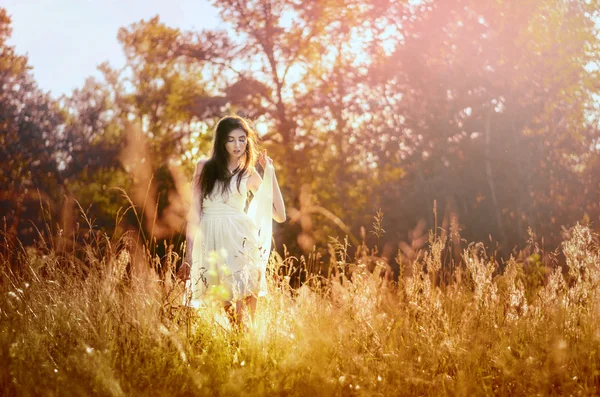 Beauté Romantique Fille, Modèle En Plein Air Habillé en robe courte décontractée sur le terrain à la lumière du soleil. Cheveux longs soufflants. Automne. Glow Sun, Sunshine. Rétro-éclairé. tonique dans des couleurs chaudes . — Photo