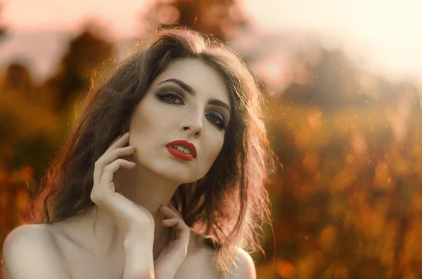 Retrato de hermosa mujer de cabello castaño en el campo de verano —  Fotos de Stock