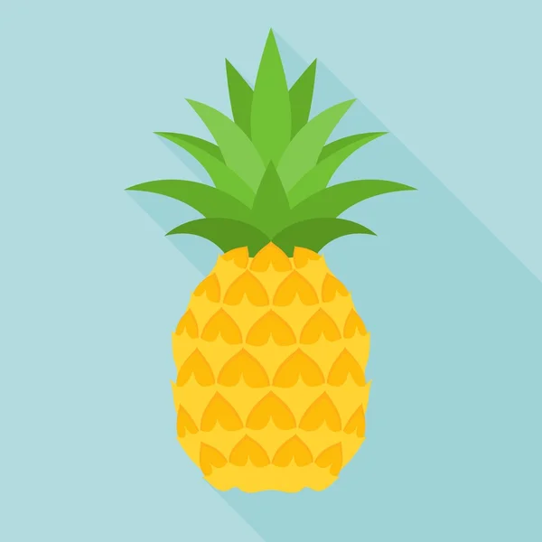 菠萝图标与长长的影子 — 图库矢量图片