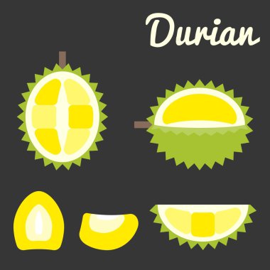 Vektör durian, düz tasarım