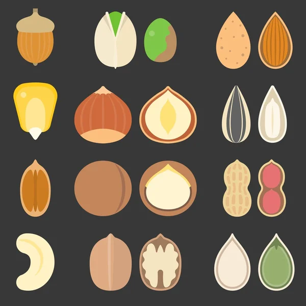 Vector nutshell and seeds icons set, flat design — Stock Vector