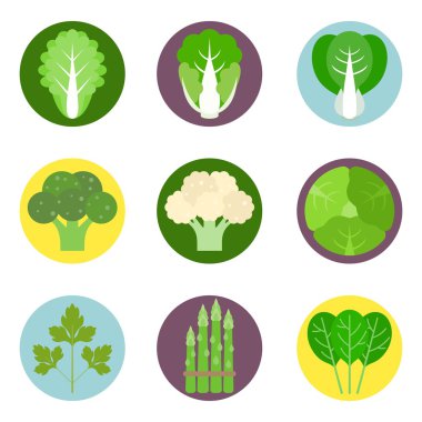 1 vektör sebze düz Icons set