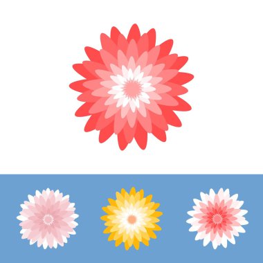 Vektör çiçek, Kasımpatı, gerber daisy, düz tasarım