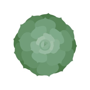 etli kaktüs bitki illüstrasyon, düz tasarlamak vektör