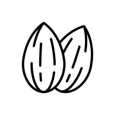 Taslak Vektör Resimleri Basit Doğrusal Biçimli İki Badem Tohumunu Gösteriyor