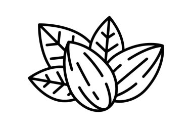 Üç Yapraklı Badem Çifti Taslak Simge Vektörü ResimleriComment