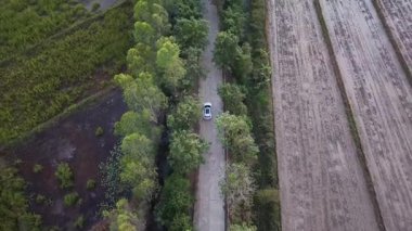  İHA 'dan alınan hava fotoğraflarına göre orman ve pirinç tarlalarından geçen bir araba var..