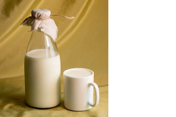 Mugg och en flaska mjölk Royaltyfria Stockbilder