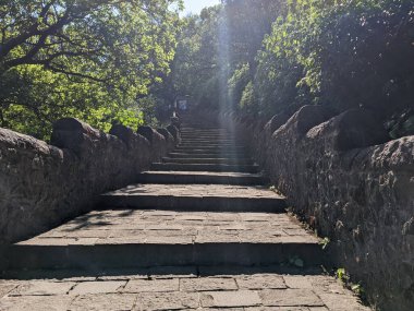 Sağlam bir taş duvar ve gelişen bir bahçe yamaçtan yükselen taş merdivenleri sarar..