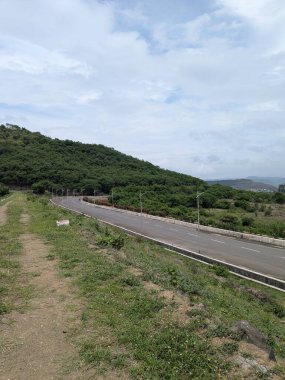 Yan tarafında ağaçlar ve çimlerin üzerinde bir köpek olan bir yol. Yol bomboş. Yolda hiç araba yok.