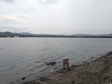 Yapraklı ağaçlarla ve bulutlu gökyüzünün altındaki uzak dağlarla çevrili kayalık bir kıyıya vuran yumuşak dalgalarla dolu huzurlu bir göl..
