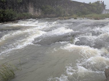 Sakin bir nehir kıvrılır, yumuşak akan su, kayalık kıyılar ve çevreleyen orman bitkileri bulutlu gün ışığında huzurlu bir doğal manzara oluşturur..
