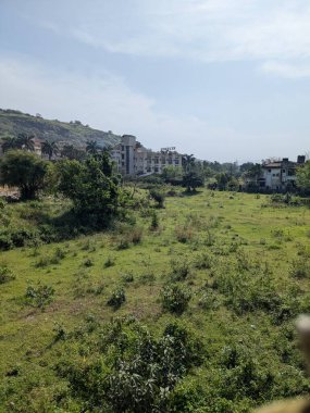 Açık yeşil arazinin geniş manzarası dağınık ağaçlar binalar ve açık gökyüzünün altındaki tepeler.
