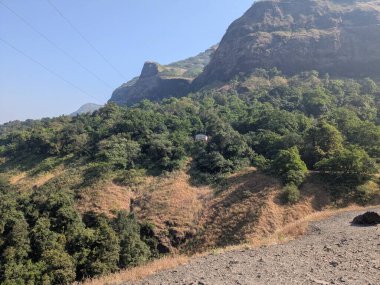 Ağaçlarla kaplı dağ yamacı ve engebeli bir yol kenarında kuru otlar.