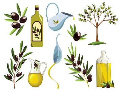 Organik zeytin ürünleri seti. Yağ elementleri. Taze olgun ağaç fetüsleri ve beyaz arka planda izole edilmiş şişe ve sürahiler içinde mis kokulu yağ.