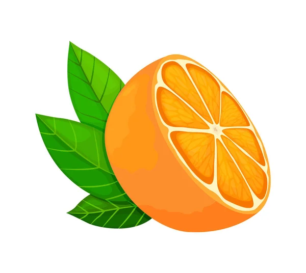 Frische reife Orange. Halbe Frucht mit Blättern. Vektor-Illustration im flachen Stil — Stockvektor