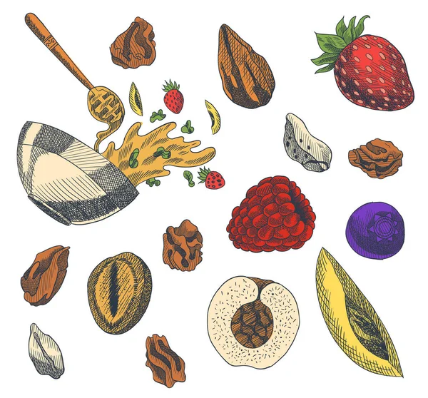 Granola ilustración de estilo grabado. Varias bayas, frutas y frutos secos. Set casero delicioso. Ingredientes para hacer granola. Desayuno saludable. Ilustración vectorial dibujada a mano — Vector de stock