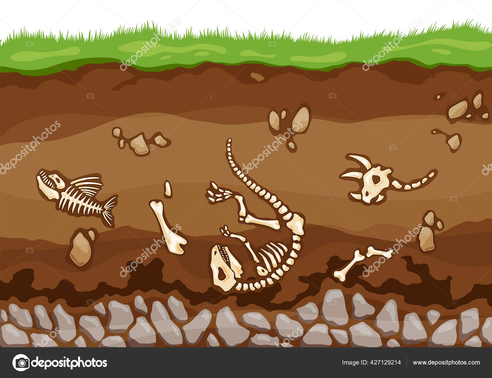 Soil Layers With Bones. Surface Horizons With Fossil Reptile.