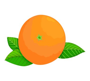 Taze olgun portakal. Yapraklı tam meyve. Düz bir şekilde vektör illüstrasyonu