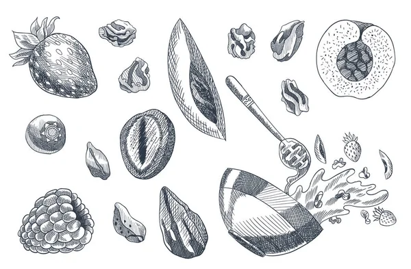 Müsli-Färbung graviert Stil Illustration. Verschiedene Beeren, Früchte und Nüsse. Hausgemachtes leckeres Set vorhanden. Zutaten für die Herstellung von Müsli. Gesundes Frühstück. Handgezeichnete Vektorillustration — Stockvektor