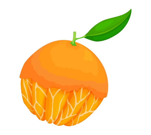 新鮮な熟したオレンジ。葉が付いている果物全体。平面図のベクトル図 — ストックベクタ