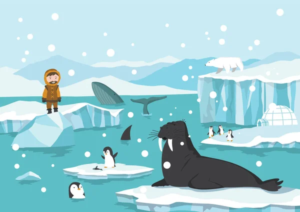 北極圏だ。海での氷河の漂流と融解に白いクマ、シールとペンギン、雪の山氷山極の冬の漫画のベクトル図 — ストックベクタ