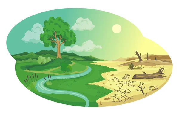 Illustratie van de woestijnvorming door klimaatverandering. Wereldwijde milieuproblemen. Landdegradatie infographic. Bodemerosie, woestijnvorming. Opwarmingsconcept — Stockvector