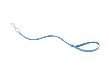 Evcil hayvan dükkanı ikonu. Köpek tasması. Hayvan aksesuarı. Düz stil klip sanatında vektör illüstrasyonu. Petshop süpermarketi