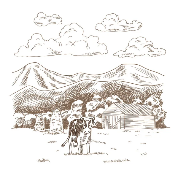 Αγελάδες βόσκουν στο λιβάδι. Χειροποίητη γεωργική γη με διανυσματική απεικόνιση αχυρώνα. Αγροτικό τοπίο, χωριό vintage σκίτσο — Διανυσματικό Αρχείο