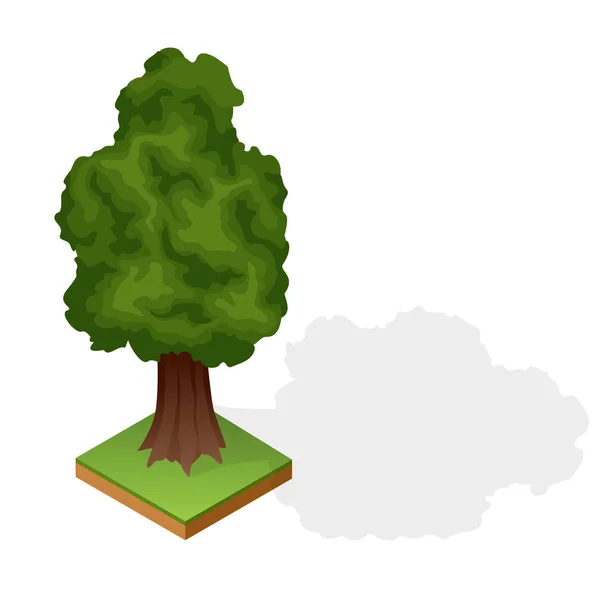 Σύνολο από ξύλο διαφόρων τύπων που απομονώνονται σε λευκό φόντο. Πράσινο φυτό για ισομετρικό τοπίο δημόσιο πάρκο ή κήπο. Στοιχείο κατασκευαστή τοπίου. Εικονίδιο διανύσματος για infographics ή παιχνίδι — Διανυσματικό Αρχείο