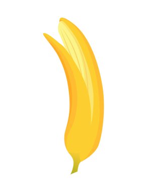 Çizgi film muzu. Tropikal meyve, muz ya da vejetaryen besin. Meyve ve olgun tatlı yiyecekler. Sarı çizgi film tek muz.