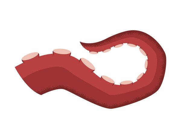 Octopus tentacle on white background. Sea squid vector cartoon icon. Spooky marine monster arm. Underwater animal
