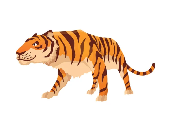 Grande tigre adulta. Carino animale della fauna selvatica. Gatto grosso. Mammifero predatore. Disegno animale del fumetto dipinto. Illustrazione vettoriale piatta isolata su sfondo bianco — Vettoriale Stock