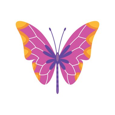 Egzotik renk kelebeği. El yapımı güve kanatları ya da böcek. Çizgi filmdeki tropik hayvan. İzole vektör simgesi