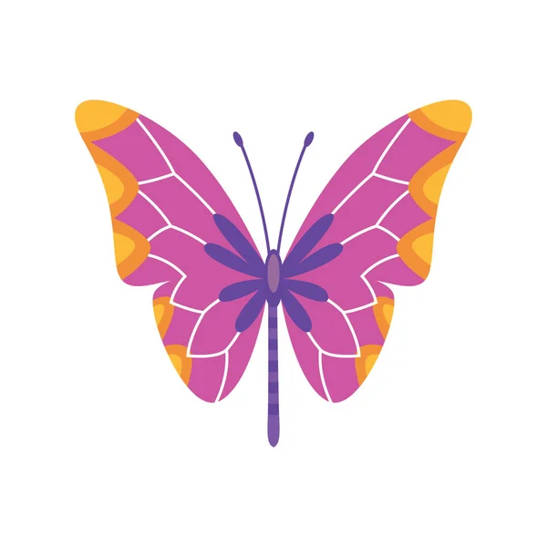 Exotische Farbe Schmetterling. Handgezeichnete Mottenflügel oder Insekten. Karikaturen tropischer Tiere. Isolierte Vektorsymbole — Stockvektor