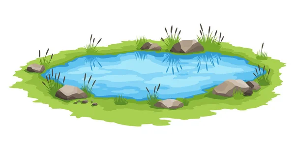 Γραφική φυσική λίμνη. Έννοια της ανοιχτής μικρής λίμνης βάλτο. Λίμνη νερού με καλαμάκια. Φυσικό τοπίο της υπαίθρου. Πολύχρωμο παιχνίδι σκηνή — Διανυσματικό Αρχείο